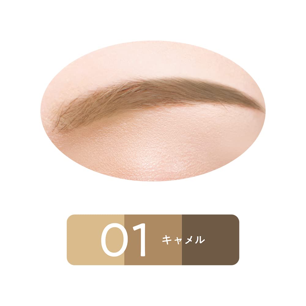 Amazon.co.jp: セザンヌ ノーズ&アイブロウパウダー 01 キャメル 3g